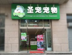 圣宠呼和浩特雅阁星城宠物店开业活动！