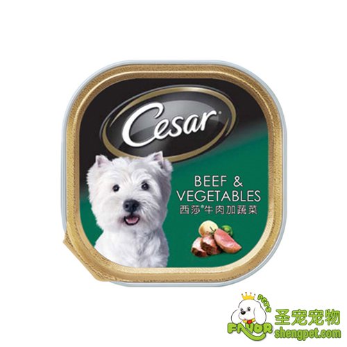 Cesar ɯţ߲˹ͷ