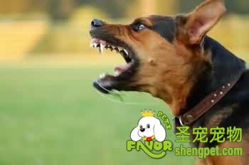 Ȯ��׼���רҵ���ʶ�����Щ