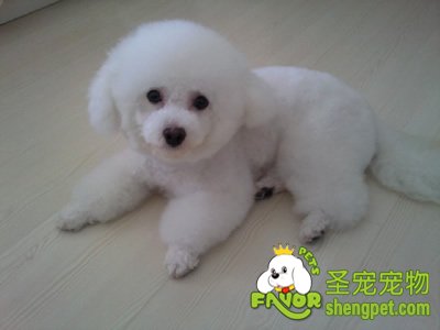 Ȯչ�϶Թ���������Ŀ