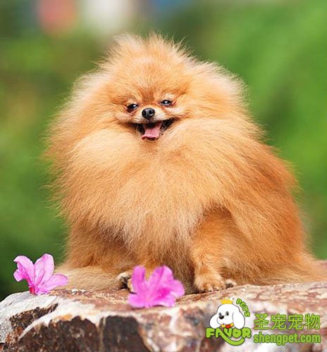 ������Ҫ����ϴ�輰һЩע������