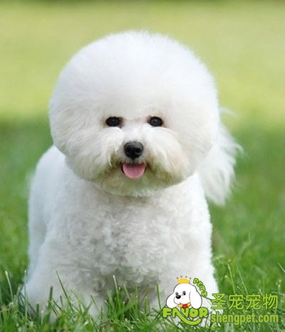 ���ֹ�����רҵ����