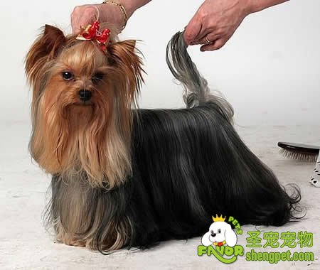 ����ϴ��6������ˢ��Ŵ����