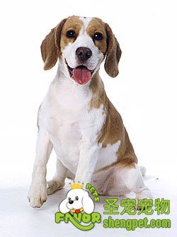 ����ù���������ϴ��