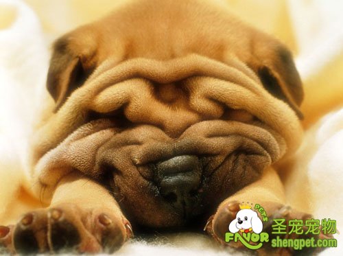 �����ļٻ��е�ԭ��