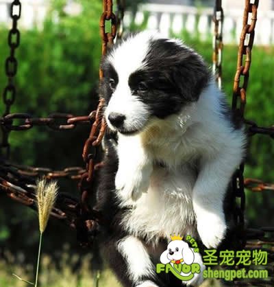 �����ڽ���ʱ�ͽ�����һЩע������