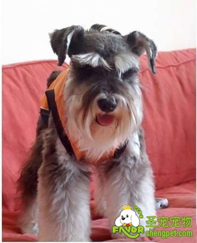 ĸȮ������������ȷ��