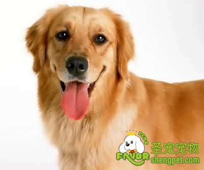 ��������Ӧѡ������ʵ�����