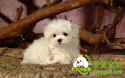 ȷ��ĸȮ���Ѻ����ʺ�����ʱ��ķ���