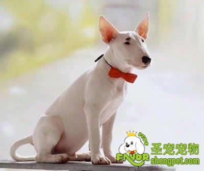 �����ó����������������衱