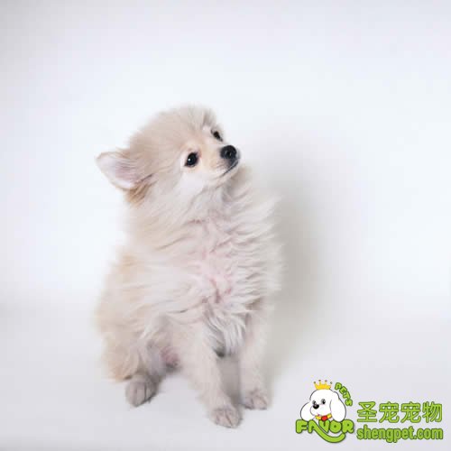 Ӱ�칫Ȯ��������ض�����Щ