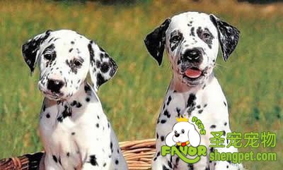 Ӱ�칷����������ض�����Щ