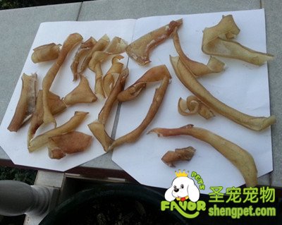 ��Ƥ��ҧ��