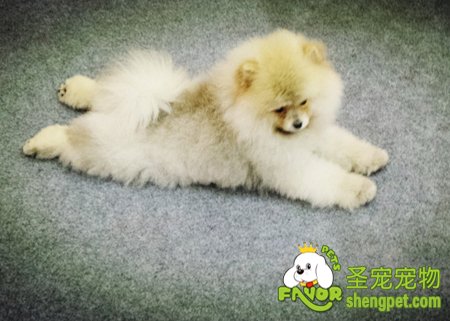 �ɶ��販�� �ȳ���Ϯ��ĩ������ȳ�ȥ�����ְ�