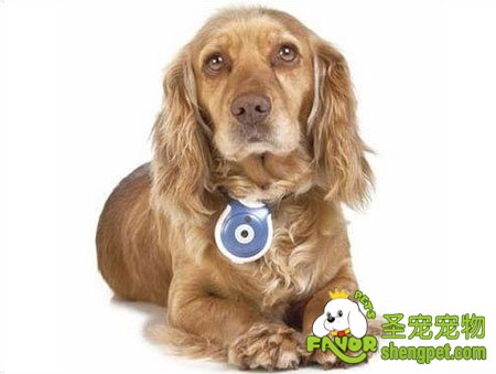 ��ʱ������İ����� ������Ȧ�������