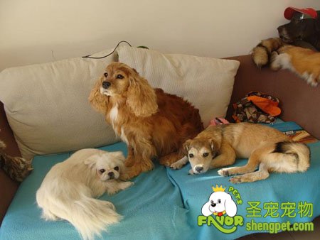 ����ȥ���������걾 �����������һ��