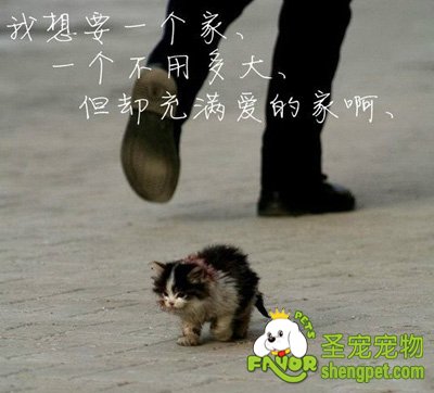 ��������������è������ת�ơ�