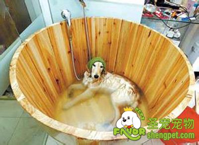 ����ҩԡ��Ҫע�������