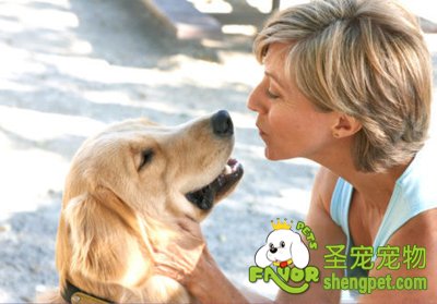 �ӳ���ƫ�� �����Ը�����