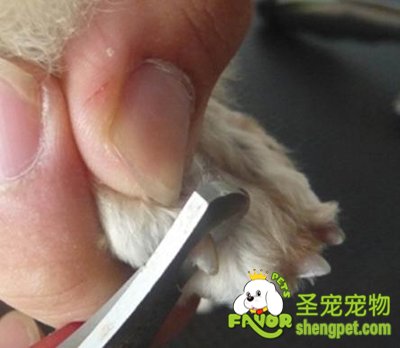 ���������ָ�׵�ԭ������Щ