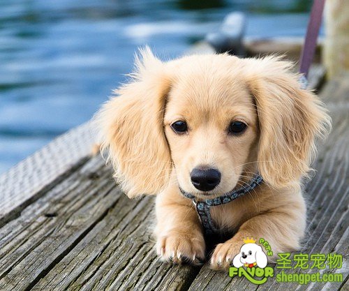 ��θ������޽�ָ��