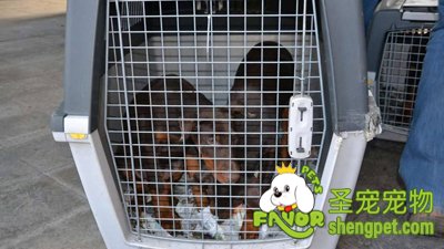 �¹��������Ƿ�������ﳵ�� �����ֻ��Ȯ