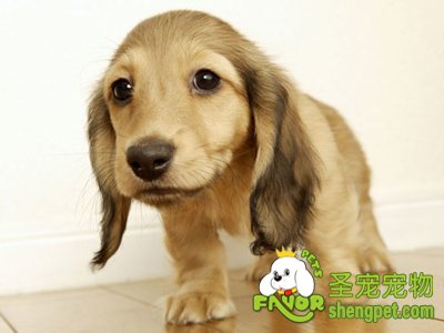 ��������Ļ�������