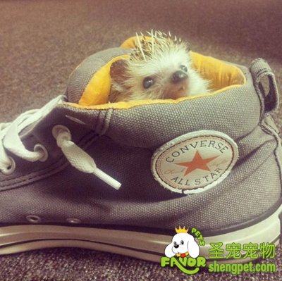 ��������ɹ������ȱ���� �ȳ��ߺ�����