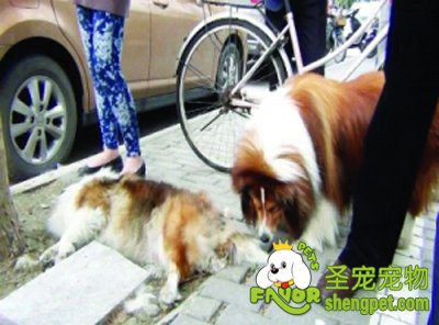 ĸ��������С����ʹ�ػ����߸ж�����