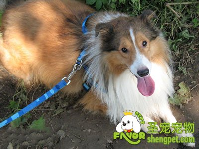 �ո�������Ȯ