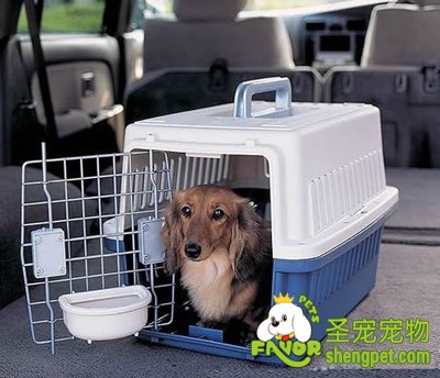 �ֵ�һ���У��ҵ�����������ˡ���Ȼ����