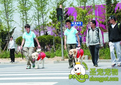 ������äȮ���ؽ���8���� ���ͳ�71ֻСQ