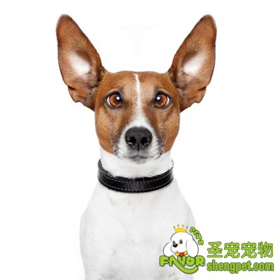 �����ۡ������ݵĻ�������