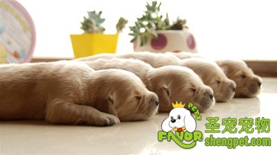 ������Ӱʦ �ڿ�����¶���ǰ��