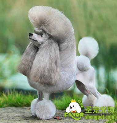 ������Ȯ��ë����������