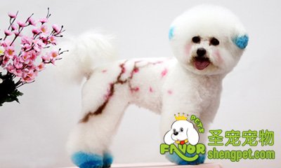 ���������˵�ϴ��Һϴë��