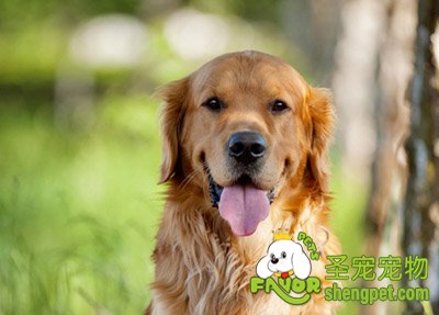 ������ǻ���ݻ����ķ���