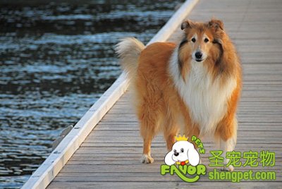 ����ϴ��ĺô��ͷ���ע������