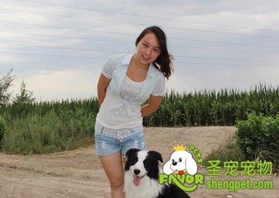 �߾�����Ȯ����