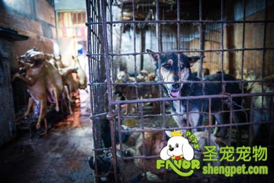 �������������˳����칷��� �����׹��ѱ���ֹ