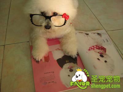 ����Ȯ��ĭĭ