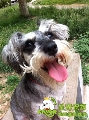 ѩ����Ĩ��