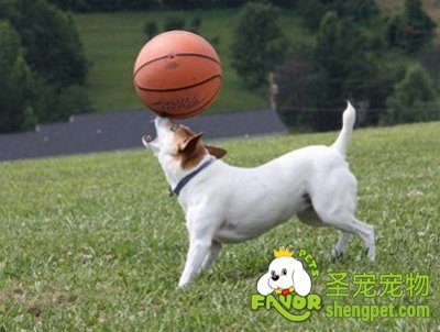 С����Ȯ����ûһ�˱��� ҵ��������ҵ�����ס���ʰ����