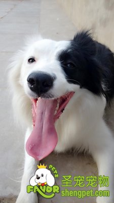 �߾�����Ȯ����