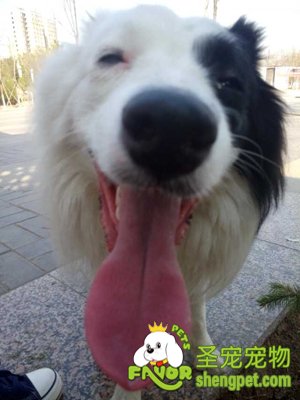 �߾�����Ȯ����