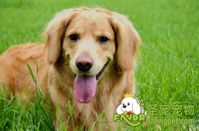 ��ëȮ����