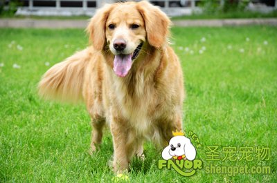 ��ëȮ����