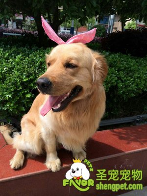 ��ëȮ����