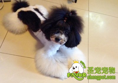 ������Ȯ�վ�