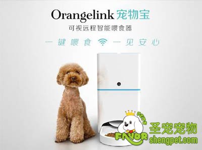 ����������˹��������ﱦ����һ���㶨 